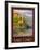 Lake Como Italy 2-Anna Siena-Framed Giclee Print