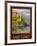 Lake Como Italy 2-Anna Siena-Framed Giclee Print