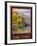 Lake Como Italy 2-Anna Siena-Framed Giclee Print