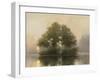 Lake Dawn-Julia Purinton-Framed Art Print