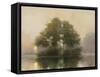 Lake Dawn-Julia Purinton-Framed Stretched Canvas