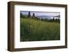 Lake Deer-Steve Hunziker-Framed Art Print