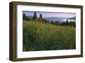 Lake Deer-Steve Hunziker-Framed Art Print