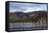 Lake Derwentwater and Skiddaw-James-Framed Stretched Canvas