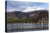 Lake Derwentwater and Skiddaw-James-Stretched Canvas