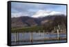 Lake Derwentwater and Skiddaw-James-Framed Stretched Canvas