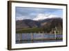 Lake Derwentwater and Skiddaw-James-Framed Photographic Print