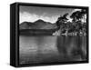 Lake Derwentwater-null-Framed Stretched Canvas