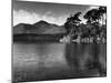 Lake Derwentwater-null-Mounted Photographic Print