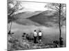 Lake District 1963-Staff-Mounted Photographic Print