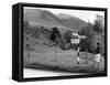 Lake District 1965-Staff-Framed Stretched Canvas