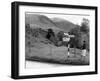 Lake District 1965-Staff-Framed Photographic Print