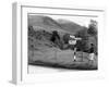 Lake District 1965-Staff-Framed Photographic Print