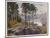 Lake District: Derwentwater from Castle Head, with Lodore at the Centre-null-Mounted Art Print