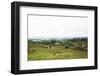 Lake District I-Laura Marshall-Framed Photographic Print