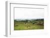 Lake District I-Laura Marshall-Framed Photographic Print