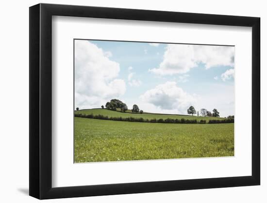 Lake District IV-Laura Marshall-Framed Photographic Print