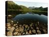 Lake District Tarn at Sunrise-null-Stretched Canvas