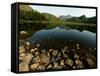 Lake District Tarn at Sunrise-null-Framed Stretched Canvas