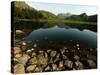 Lake District Tarn at Sunrise-null-Stretched Canvas