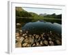 Lake District Tarn at Sunrise-null-Framed Photographic Print