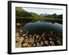 Lake District Tarn at Sunrise-null-Framed Photographic Print