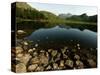 Lake District Tarn at Sunrise-null-Stretched Canvas