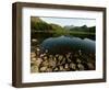 Lake District Tarn at Sunrise-null-Framed Photographic Print
