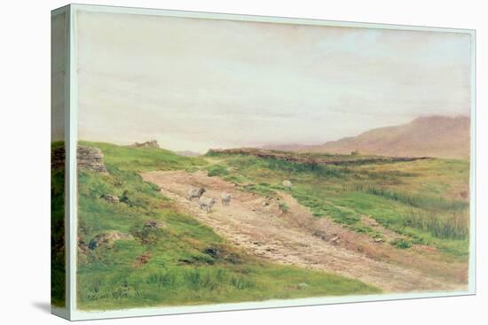 Lake District-Cuthbert Rigby-Stretched Canvas