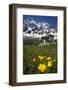 Lake Donguzorun with Buttercups and Mount Donguzorun Mountains Behind. Caucasus, Russia, June-Schandy-Framed Photographic Print