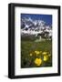 Lake Donguzorun with Buttercups and Mount Donguzorun Mountains Behind. Caucasus, Russia, June-Schandy-Framed Photographic Print