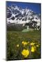 Lake Donguzorun with Buttercups and Mount Donguzorun Mountains Behind. Caucasus, Russia, June-Schandy-Mounted Photographic Print