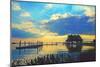 Lake Dora Sunset-Bruce Nawrocke-Mounted Art Print