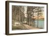 Lake Drive at Pinehurst, North Carolina-null-Framed Art Print