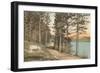 Lake Drive at Pinehurst, North Carolina-null-Framed Art Print