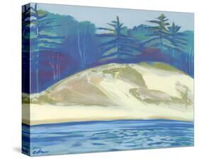 Lake Dunes-Cathe Hendrick-Stretched Canvas
