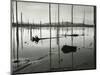 Lake Elsinore, California, 1962-Brett Weston-Mounted Photographic Print