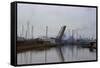 Lake Erie Polluted Waterway-Charles Rotkin-Framed Stretched Canvas