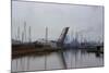 Lake Erie Polluted Waterway-Charles Rotkin-Mounted Photographic Print