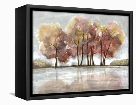 Lake Foliage-Doris Charest-Framed Stretched Canvas