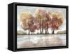 Lake Foliage-Doris Charest-Framed Stretched Canvas