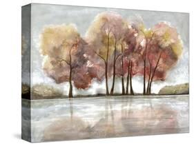 Lake Foliage-Doris Charest-Stretched Canvas
