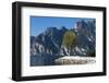 Lake Garda, Torbole, Beach, Trentino, Italy, Mountain Lake, Holiday Region, Relaxing, Vacation-Frank Fleischmann-Framed Photographic Print