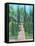 LAKE GARDENS-ALLAYN STEVENS-Framed Stretched Canvas