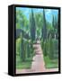 LAKE GARDENS-ALLAYN STEVENS-Framed Stretched Canvas