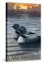 Lake George, New York - Loons at Sunset-Lantern Press-Stretched Canvas