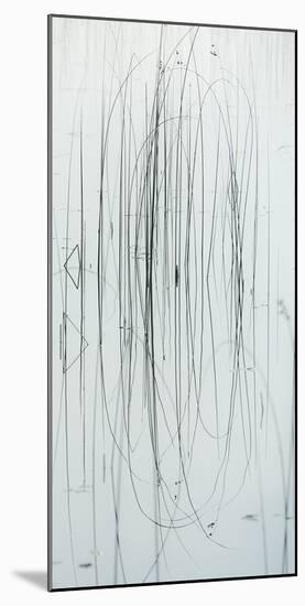 Lake Grass - Specimen-Mike Toy-Mounted Giclee Print