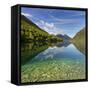 Lake Gunn, Fiordland National Park, Southland, South Island, New Zealand-Rainer Mirau-Framed Stretched Canvas