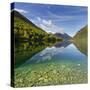 Lake Gunn, Fiordland National Park, Southland, South Island, New Zealand-Rainer Mirau-Stretched Canvas