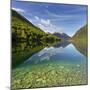 Lake Gunn, Fiordland National Park, Southland, South Island, New Zealand-Rainer Mirau-Mounted Photographic Print